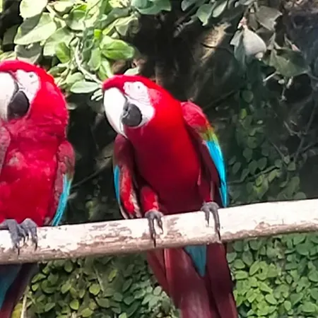 Rocmar. Ubicacion Inmejorable Frente Al Puerto De Roses. - Es-258-56 روساس