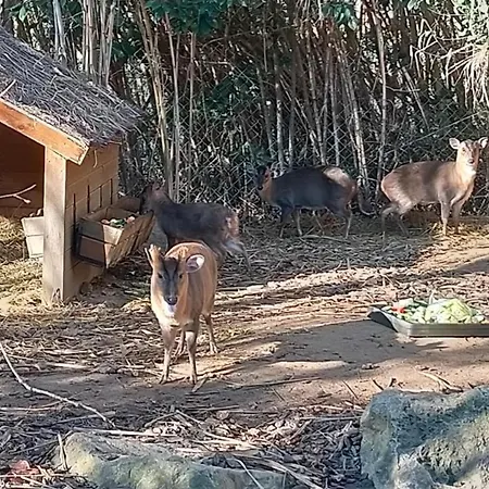 شقة Rocmar. Ubicacion Inmejorable Frente Al Puerto De Roses. - Es-258-56 *